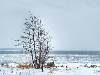 Scenic view of sea against clear sky during winter