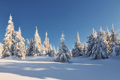 Clear blue sky.