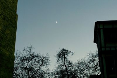 Low angle view of bird flying against sky