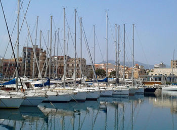 Sailboats moored in harbor