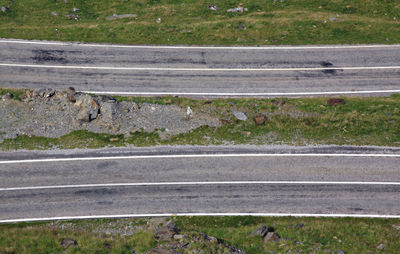 High angle view of zebra crossing on road