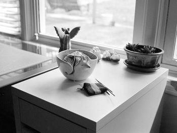 Close-up of potted plants on window sill