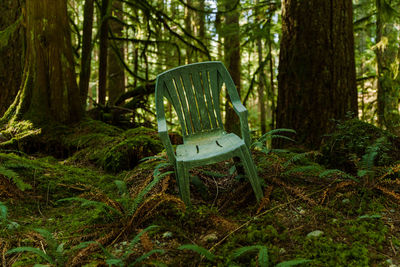 A garden chair left alone in the forest