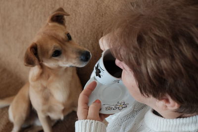 Close-up of hand holding dog