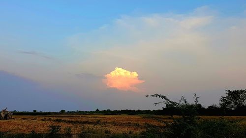 Scenic view of field against sky during sunset