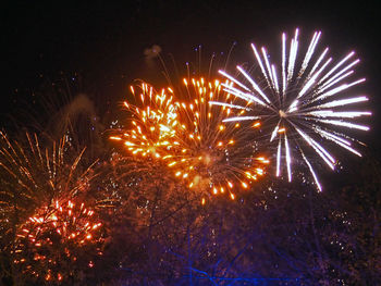 Low angle view of firework display at night