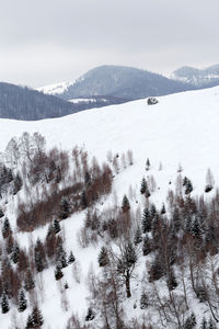 Scenic view of snow covered mountain against sky