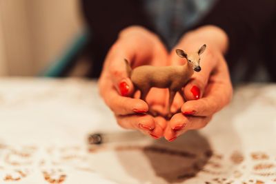 Close-up of woman holding toy