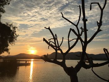 Silhouette trees by lake against sky during sunset