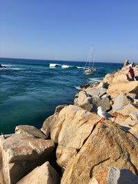 Scenic view of sea against clear sky