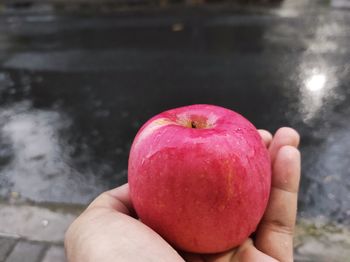 Close-up of hand holding apple