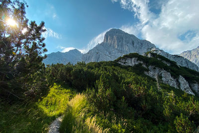 Sunrise in the early morning at stripsenjoch in the wilder kaiser, tyrol, austria