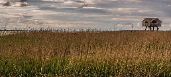 Scenic view of farm against sky