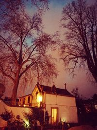 Low angle view of houses and trees against sky at night