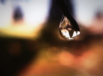 Close-up of water drops on leaf