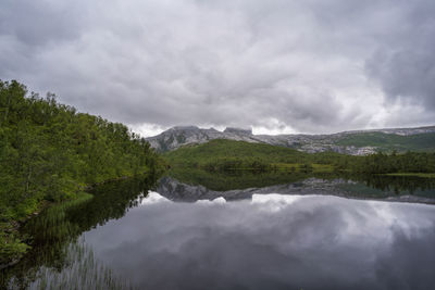 Reflection of trees on water against sky