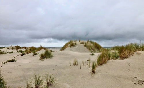 Scenic view of beach against sky