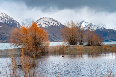 Scenic view of lake against sky. morning view of lake pukaki east bank.