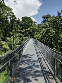 Footbridge amidst trees against sky