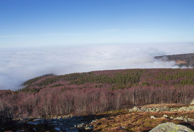 Scenic view of land against sky