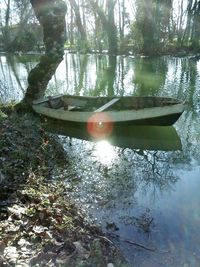 Reflection of trees in lake