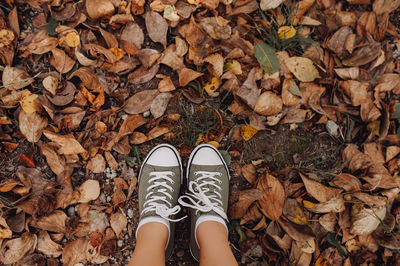 Stylish minimalist green sneakers with white nose on ground with colorful autumn leaves. fall atm