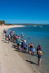 Tourist at monkey mia, western australia