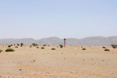 Scenic view of landscape against clear sky