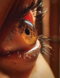 Close-up of woman eye