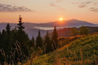 Scenic view of landscape against sky during sunset