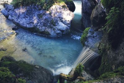 Scenic view of waterfall in forest