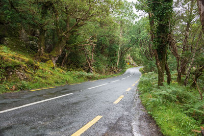 Road amidst trees in forest