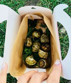 Cropped hand with escargot in paper bag