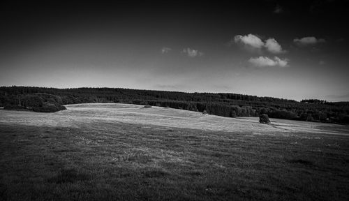 Scenic view of field against sky