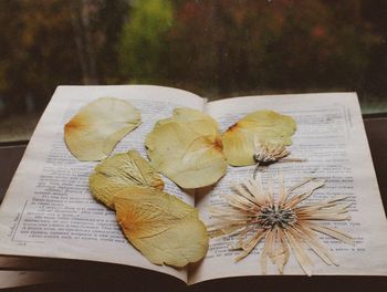 High angle view of various flowers on table