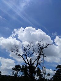 Low angle view of silhouette trees against blue sky