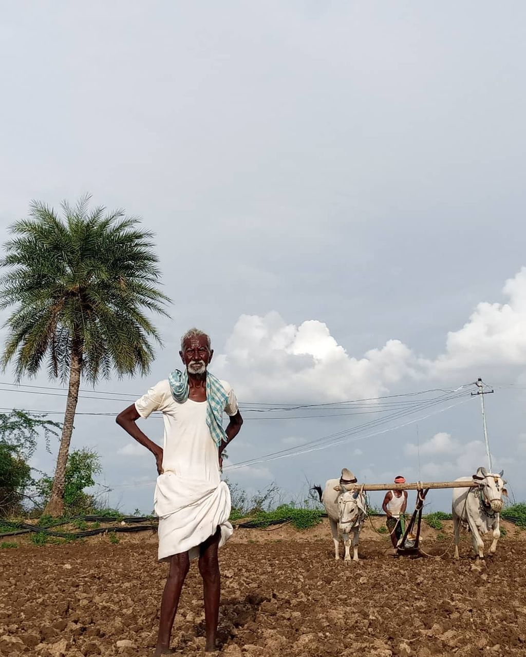 MAN ON FIELD AGAINST SKY