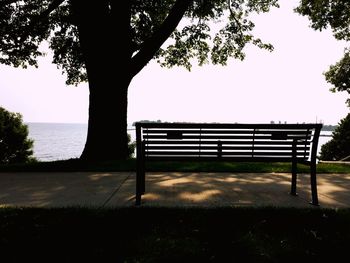 Empty bench in park