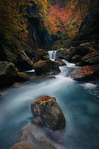 Scenic view of waterfall in forest