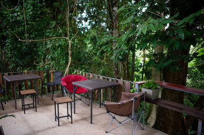 Empty chairs and table against trees in forest