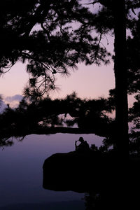 Silhouette young woman sitting on cliff by tree during sunset