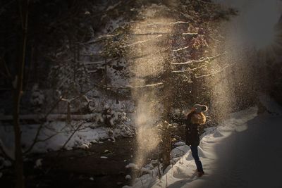 Woman shaking snowy tree in forest