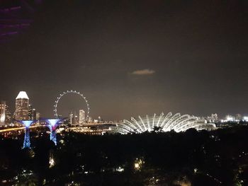 Illuminated ferris wheel in city at night