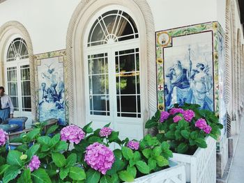 View of built structure with plants in foreground