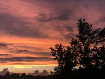 Low angle view of silhouette tree against dramatic sky
