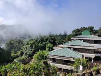 Plants and trees by building against sky