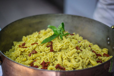 Close-up of salad in bowl