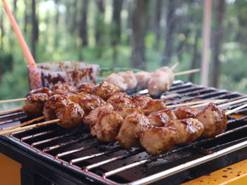 Close-up of meat on barbecue grill