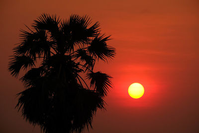 Low angle view of silhouette coconut palm tree against romantic sky