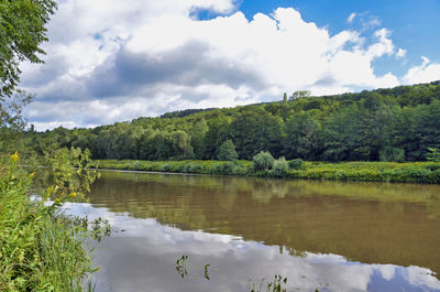 Scenic view of lake by trees against sky